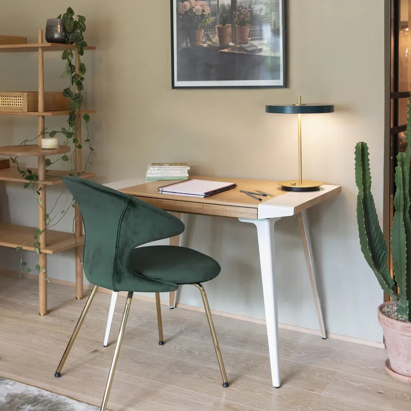 Asteria Table Lamp