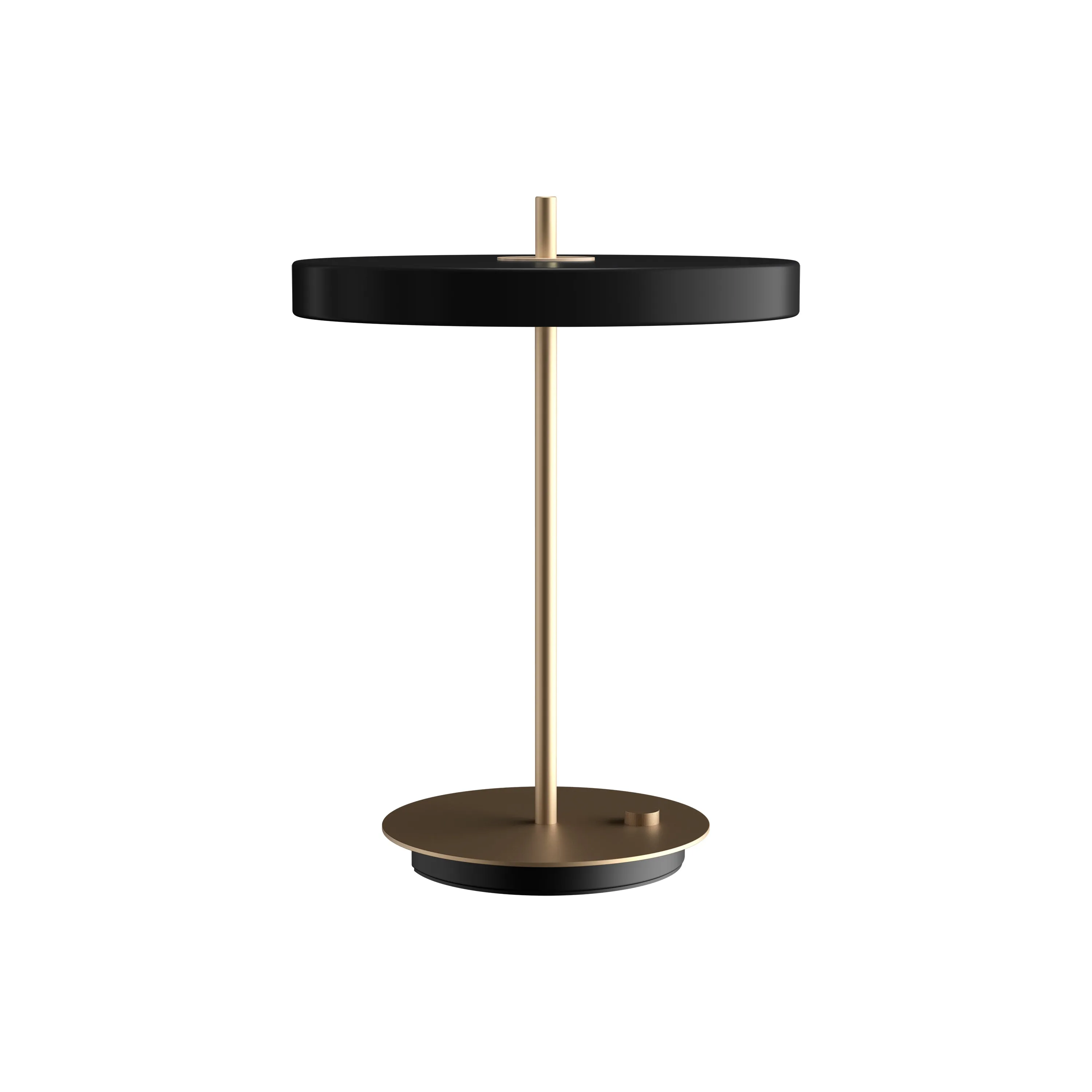 Asteria Table Lamp