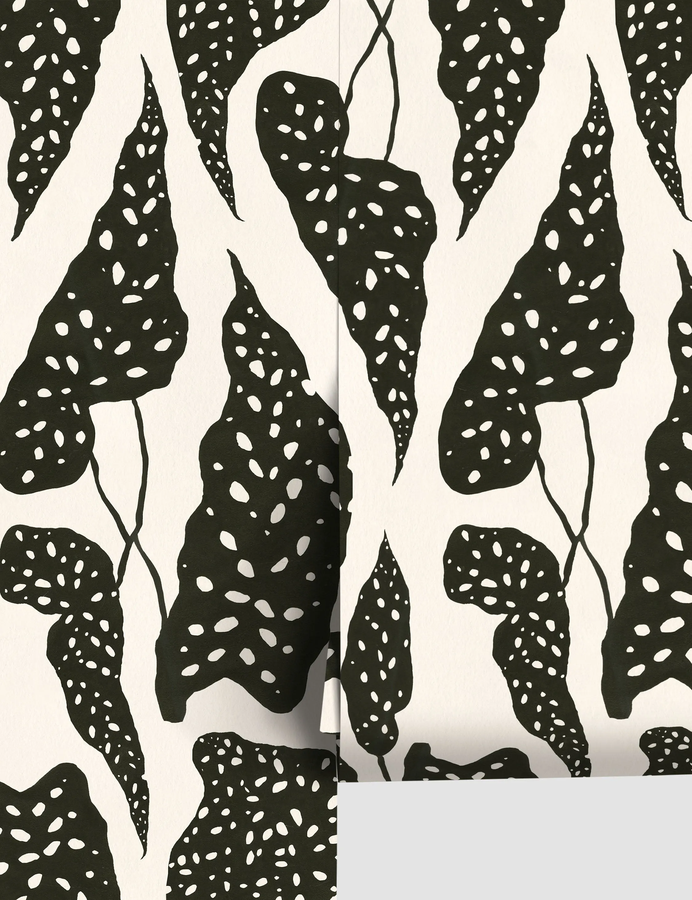 Begonia Wallpaper by Susan Hable Lulu and Georgia