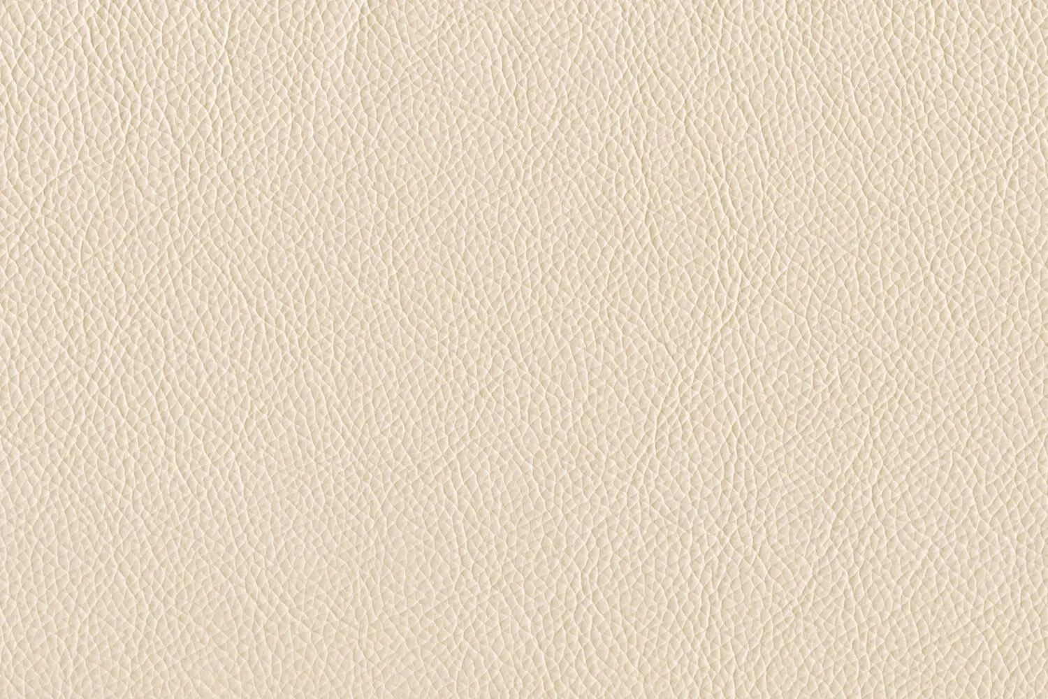 Braylon Leather Chair - Bisque