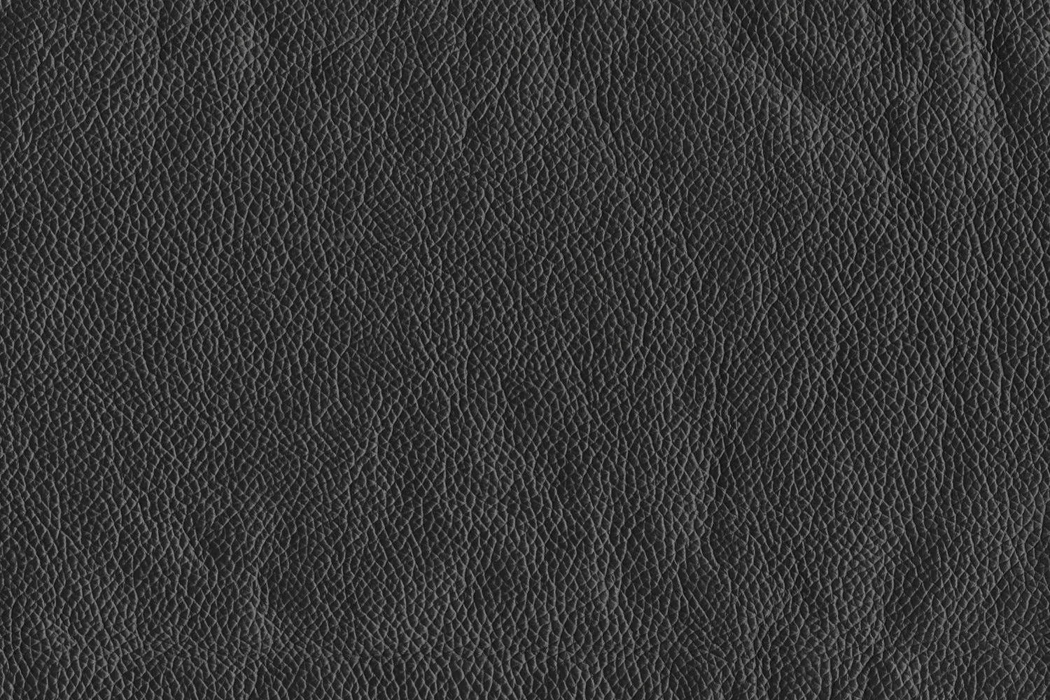 Braylon Leather Chair - Classic Black