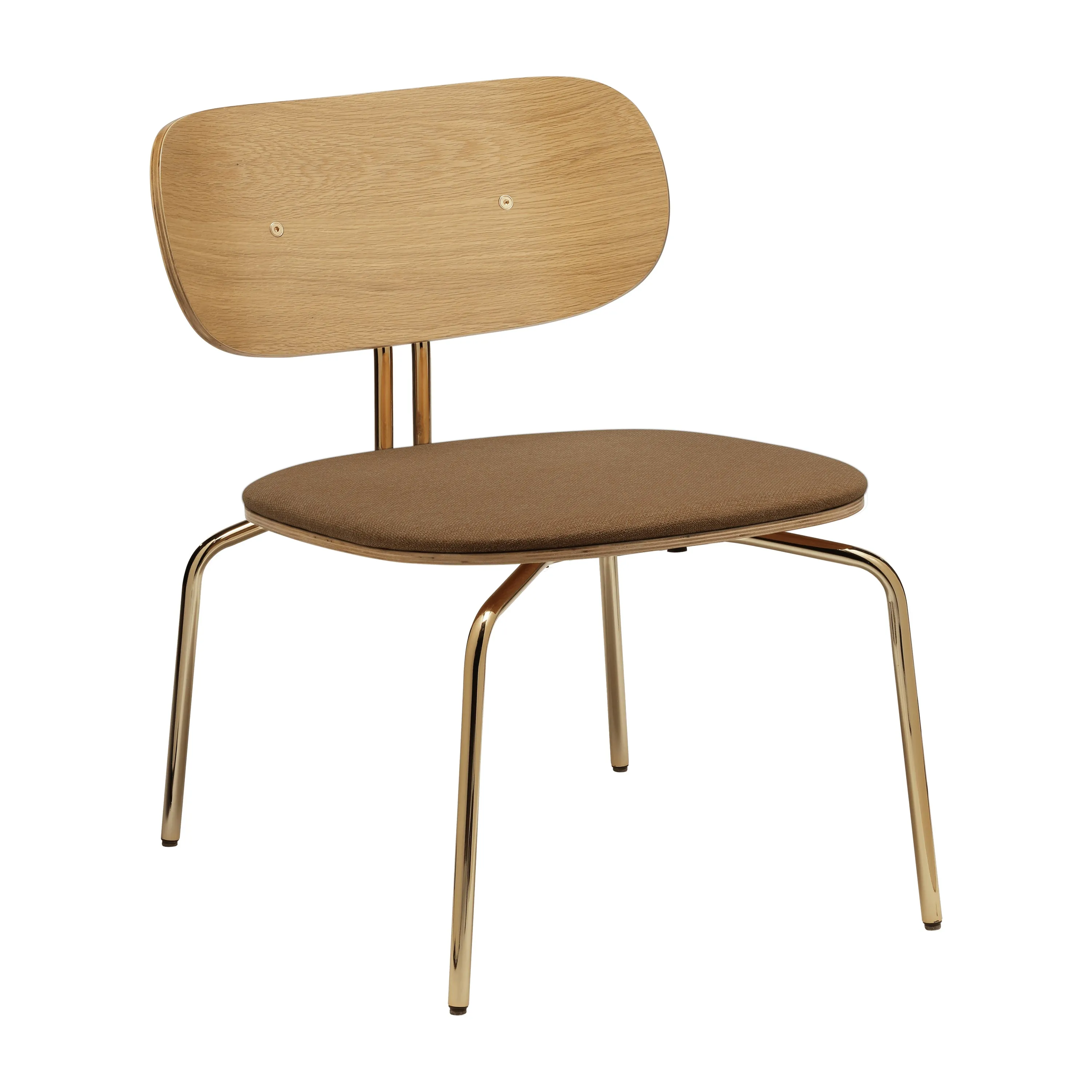 Curious Lounge Chair