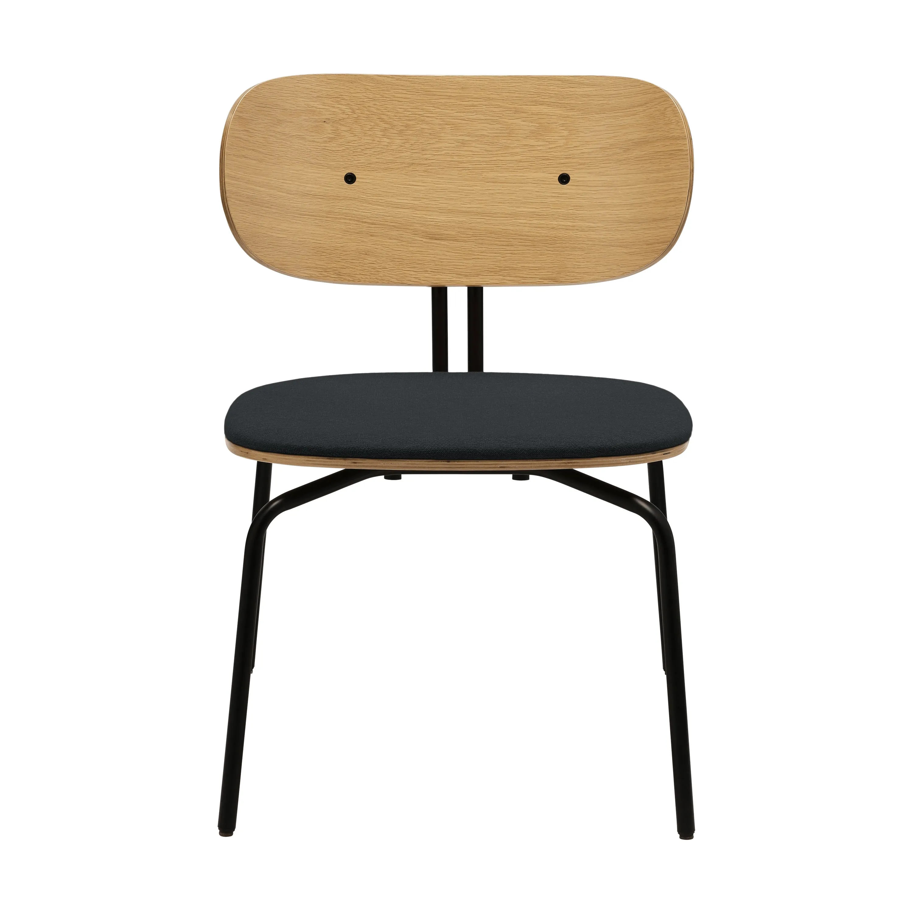 Curious Lounge Chair