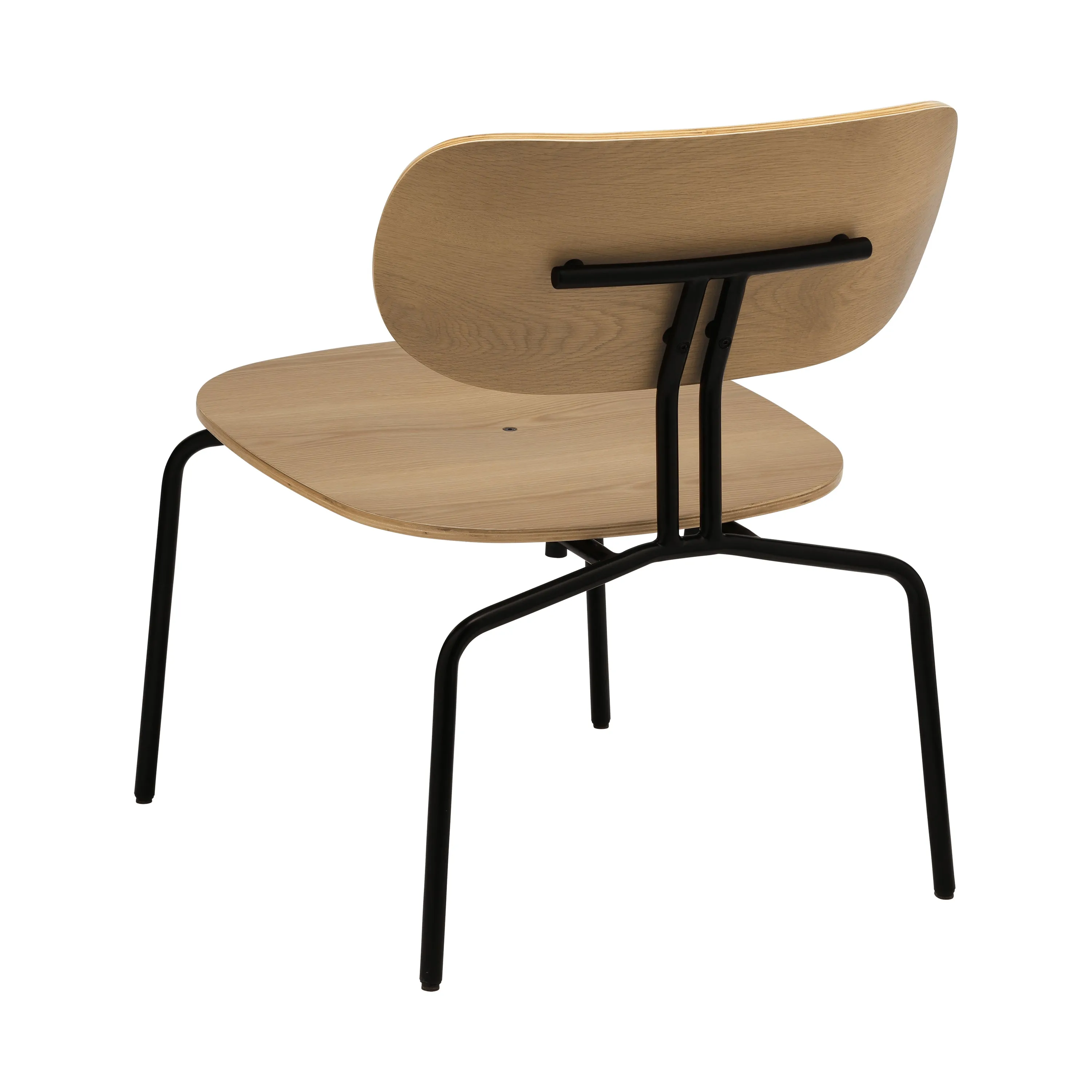 Curious Lounge Chair