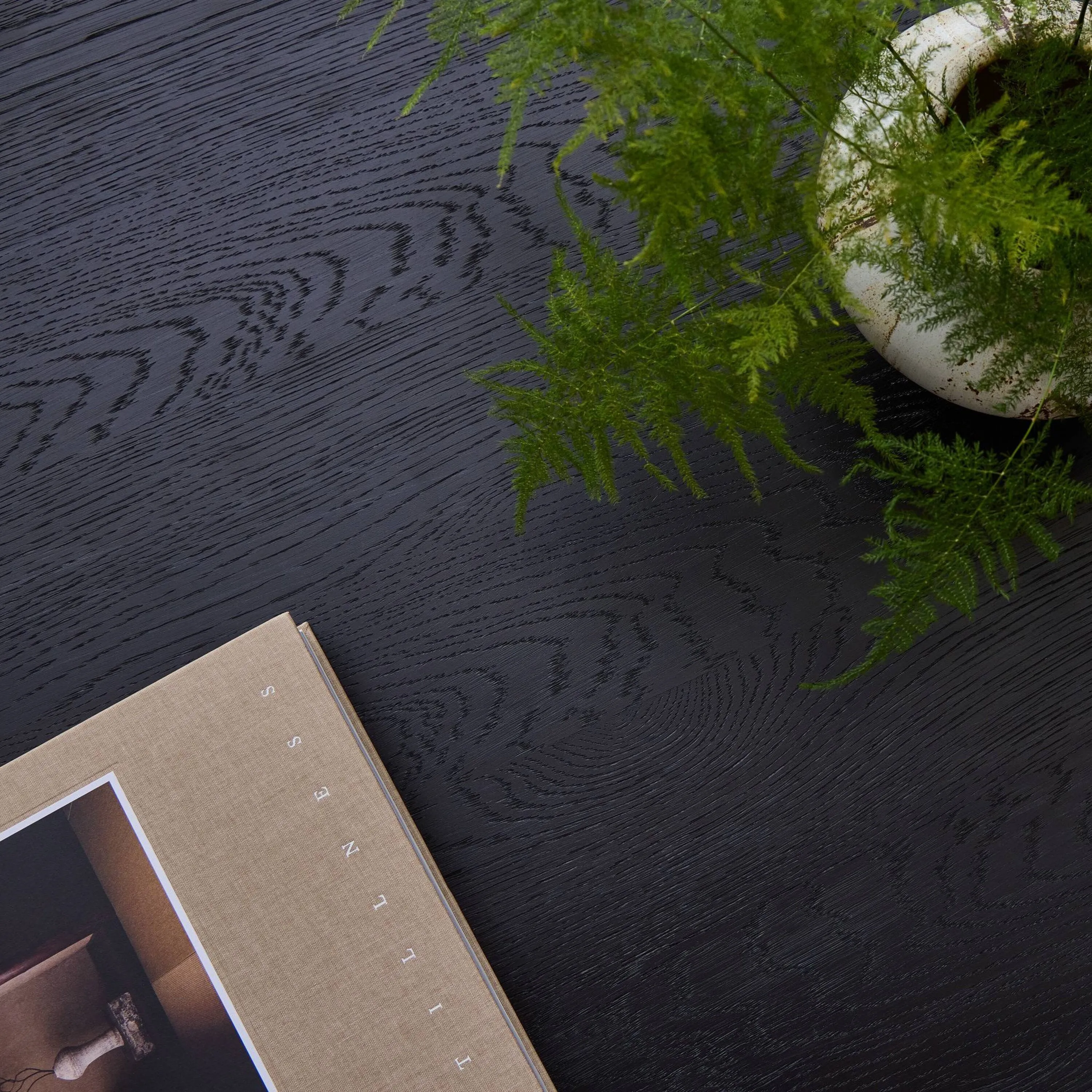 Eamon Coffee Table