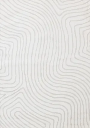 Hayden 5'3" x 7'7" Swirling Lines Area Rug - Grey