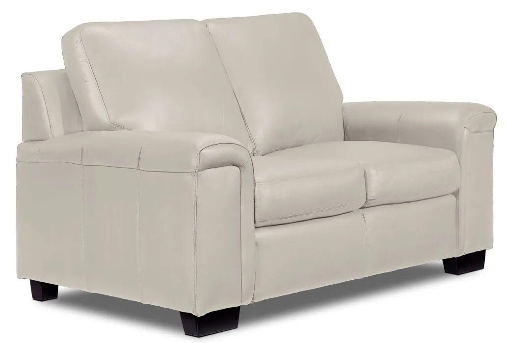 Icon Leather Sofa and Loveseat Set - Silver Grey