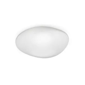 Neochic Wall/Ceiling Lamp