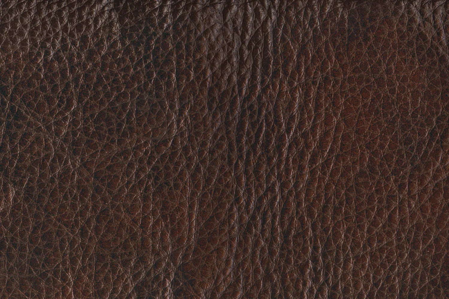 Stampede Leather Sofa - Coffee