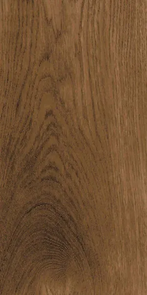 Vives Ottawa-R Marron Wood Effect Porcelain Tile 19x120cm Matt