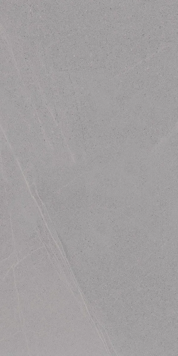 Vives Seine-R Gris Stone Effect Porcelain Tile 60x120cm Matt
